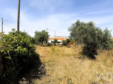 Terreno para Venda em Corte do Pinto