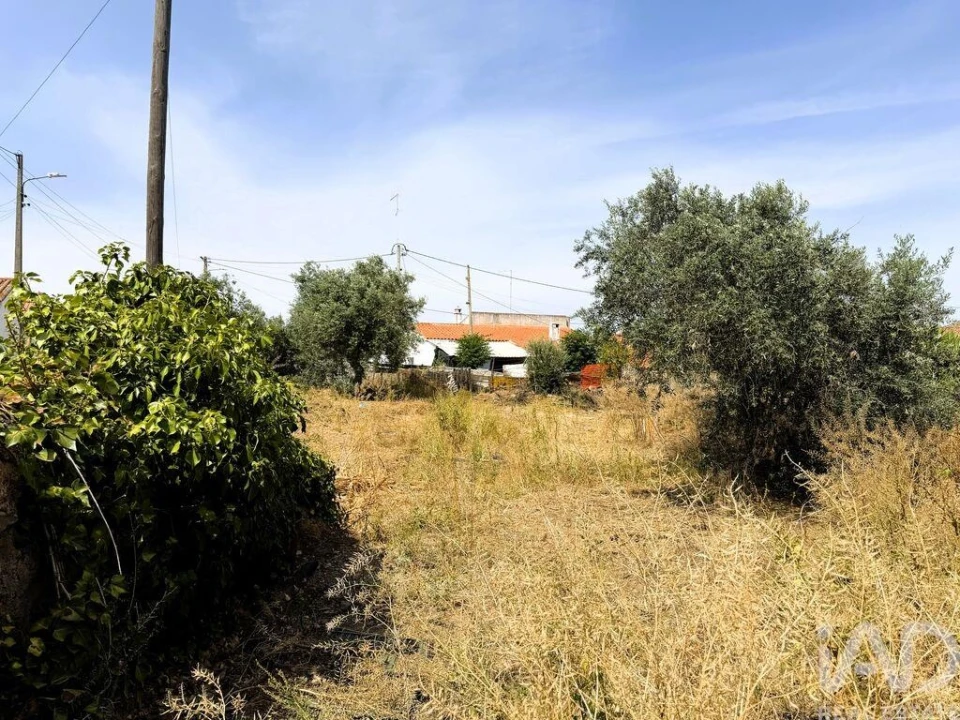 Terreno para Venda em Corte do Pinto Foto 3