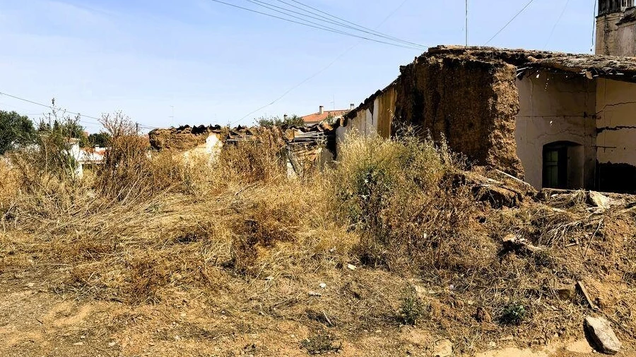 Terreno para Venda em Corte do Pinto