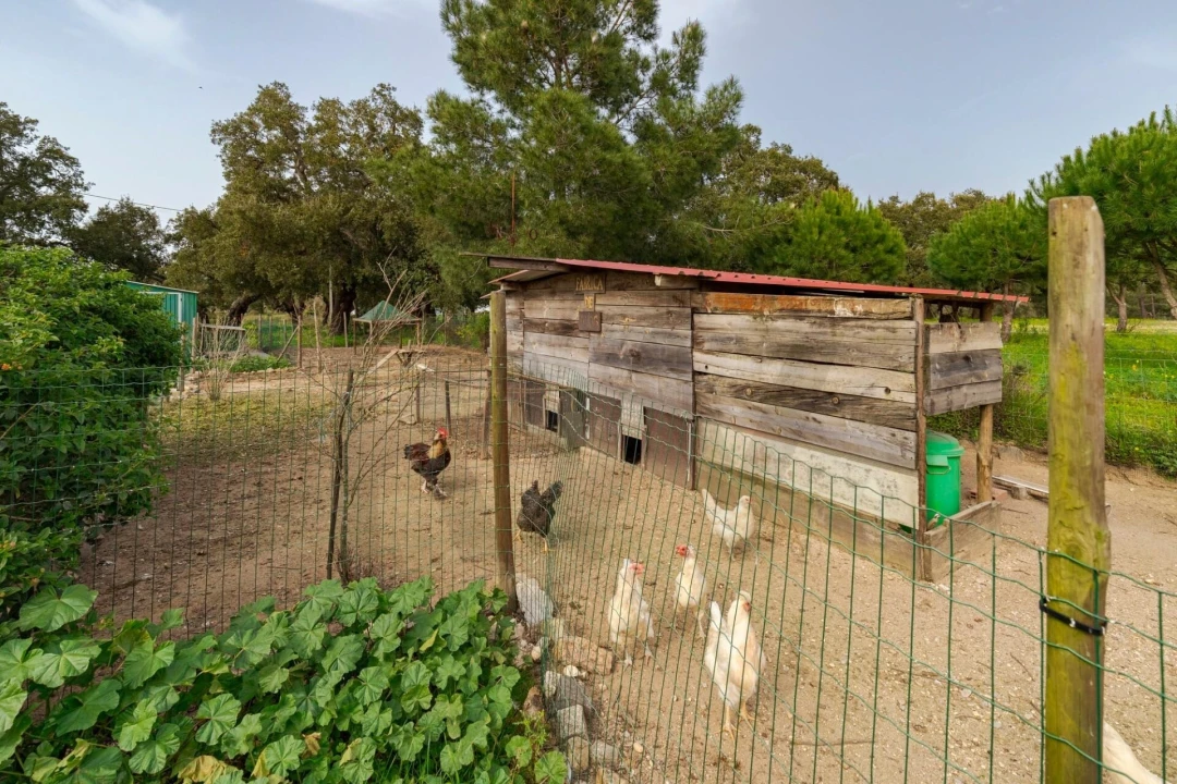 Quinta T4 para Venda em Santo Andre Foto 33