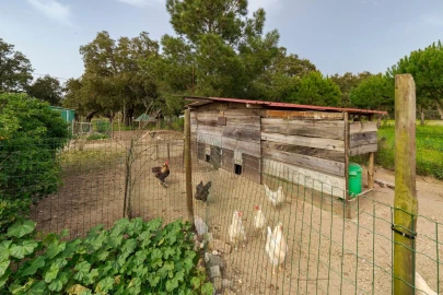 Quinta T4 para Venda em Santo Andre