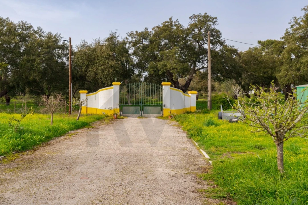 Quinta T4 para Venda em Santo Andre Foto 39