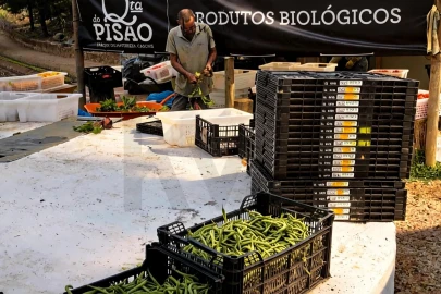 Moradia T4 para Venda em Alcabideche