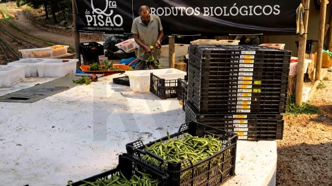 Moradia T4 para Venda em Alcabideche