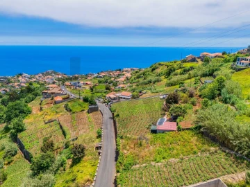 Terreno para Venda em Ponta do Sol