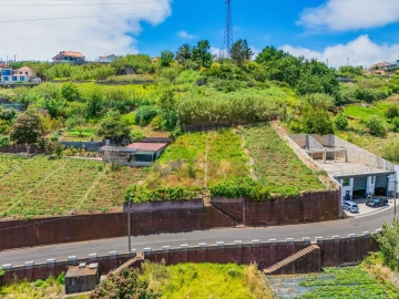 Terreno para Venda em Ponta do Sol