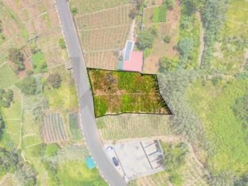 Terreno para Venda em Ponta do Sol
