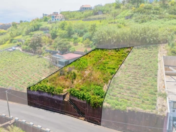 Terreno para Venda em Ponta do Sol