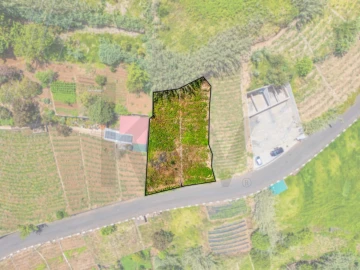 Terreno para Venda em Ponta do Sol