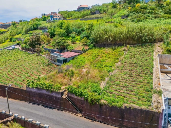 Terreno para Venda em Ponta do Sol Foto 36
