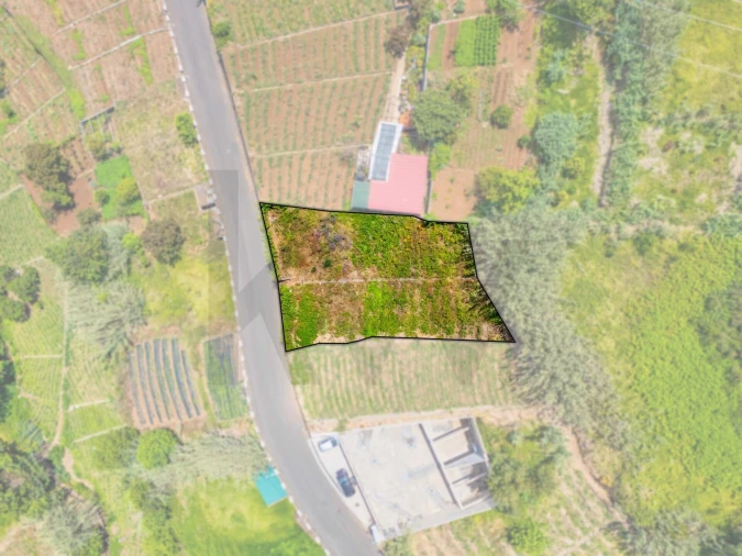 Terreno para Venda em Ponta do Sol Foto 3