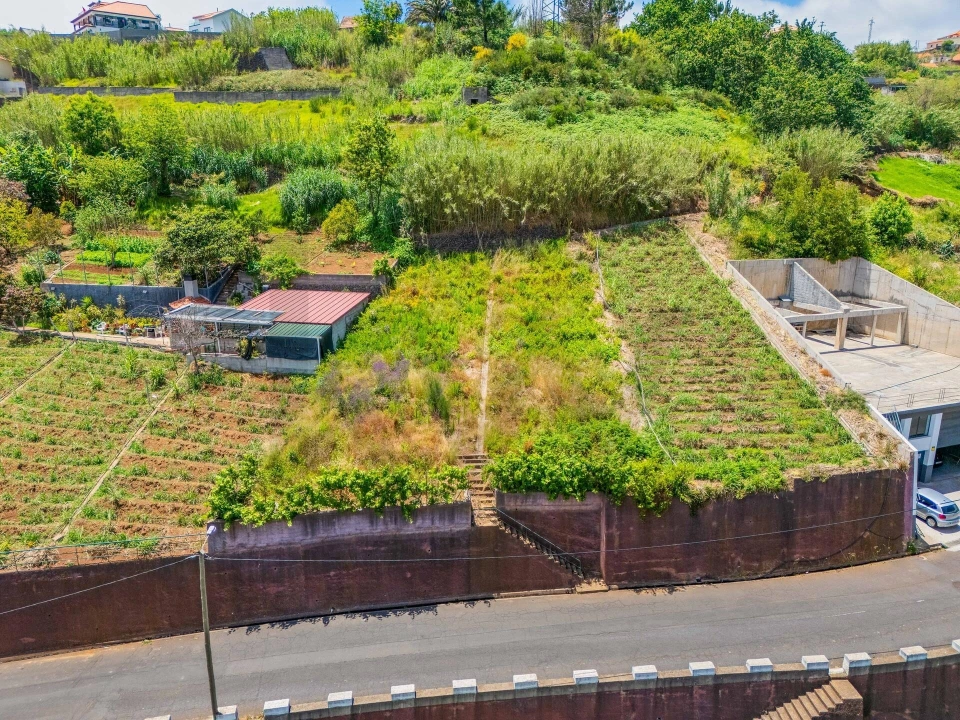 Terreno para Venda em Ponta do Sol Foto 35