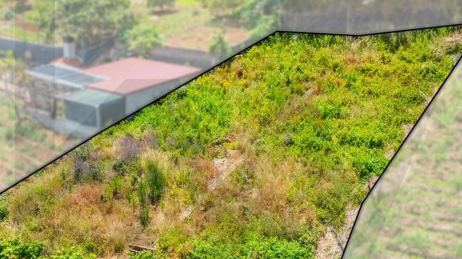 Terreno para Venda em Ponta do Sol