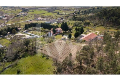 Quinta T8 para Venda em Belmonte e Colmeal da Torre