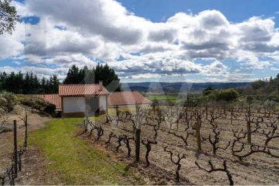 Quinta T8 para Venda em Belmonte e Colmeal da Torre