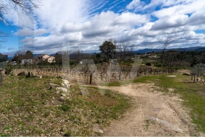 Quinta T8 para Venda em Belmonte e Colmeal da Torre