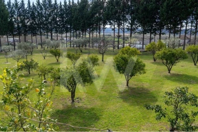 Quinta T8 para Venda em Belmonte e Colmeal da Torre