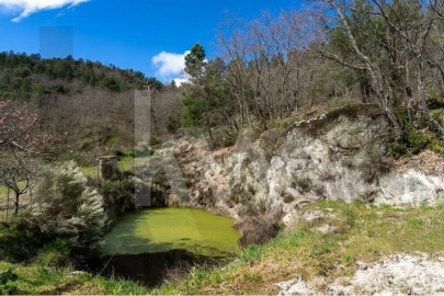 Quinta T8 para Venda em Belmonte e Colmeal da Torre