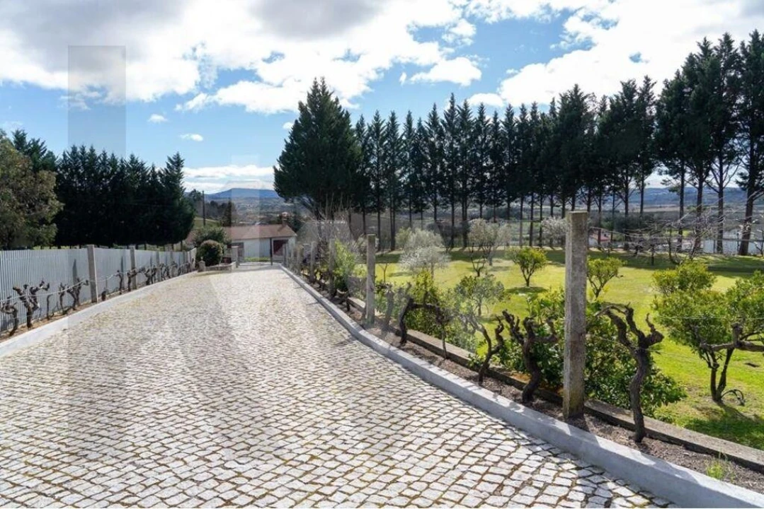 Quinta T8 para Venda em Belmonte e Colmeal da Torre Foto 15