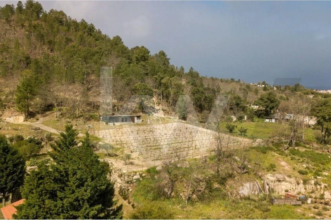 Quinta T8 para Venda em Belmonte e Colmeal da Torre Foto 81