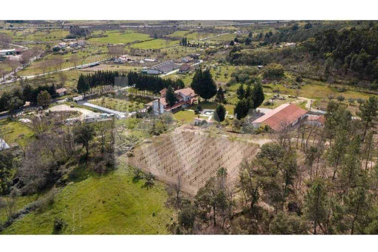 Quinta T8 para Venda em Belmonte e Colmeal da Torre Foto 82