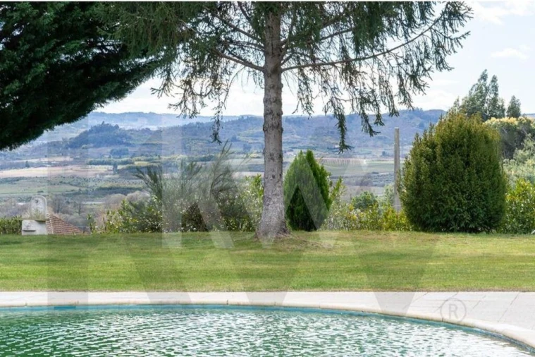 Quinta T8 para Venda em Belmonte e Colmeal da Torre Foto 68