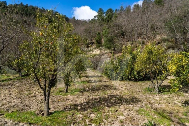 Quinta T8 para Venda em Belmonte e Colmeal da Torre Foto 73