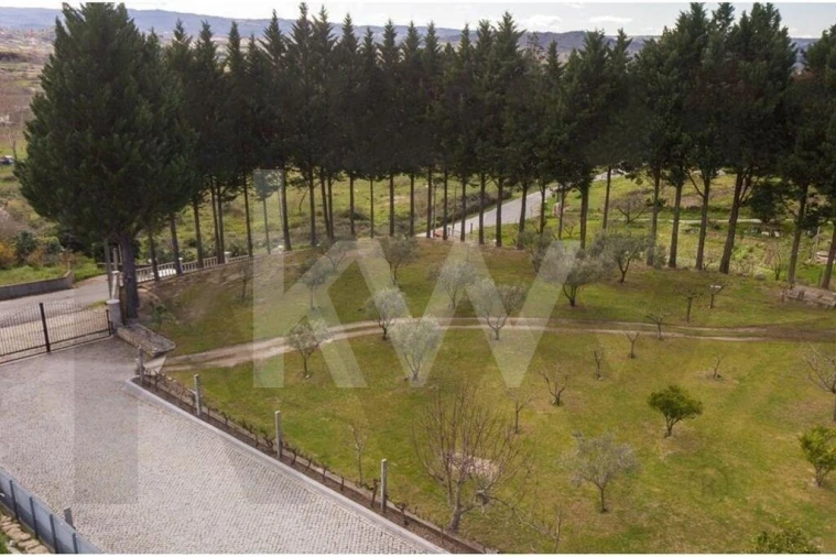 Quinta T8 para Venda em Belmonte e Colmeal da Torre Foto 11