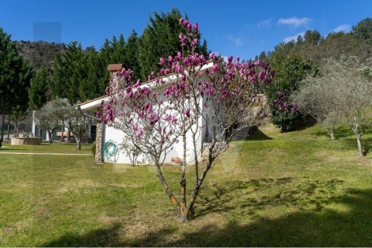 Quinta T8 para Venda em Belmonte e Colmeal da Torre Foto 71