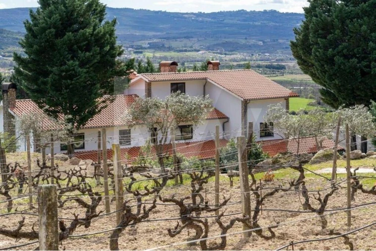 Quinta T8 para Venda em Belmonte e Colmeal da Torre Foto 79