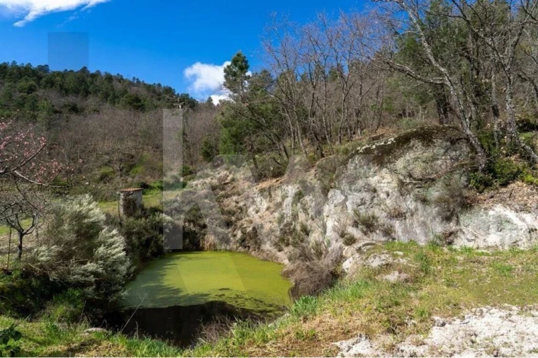 Quinta T8 para Venda em Belmonte e Colmeal da Torre Foto 76