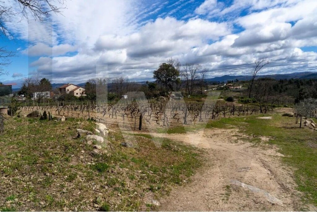 Quinta T8 para Venda em Belmonte e Colmeal da Torre Foto 80