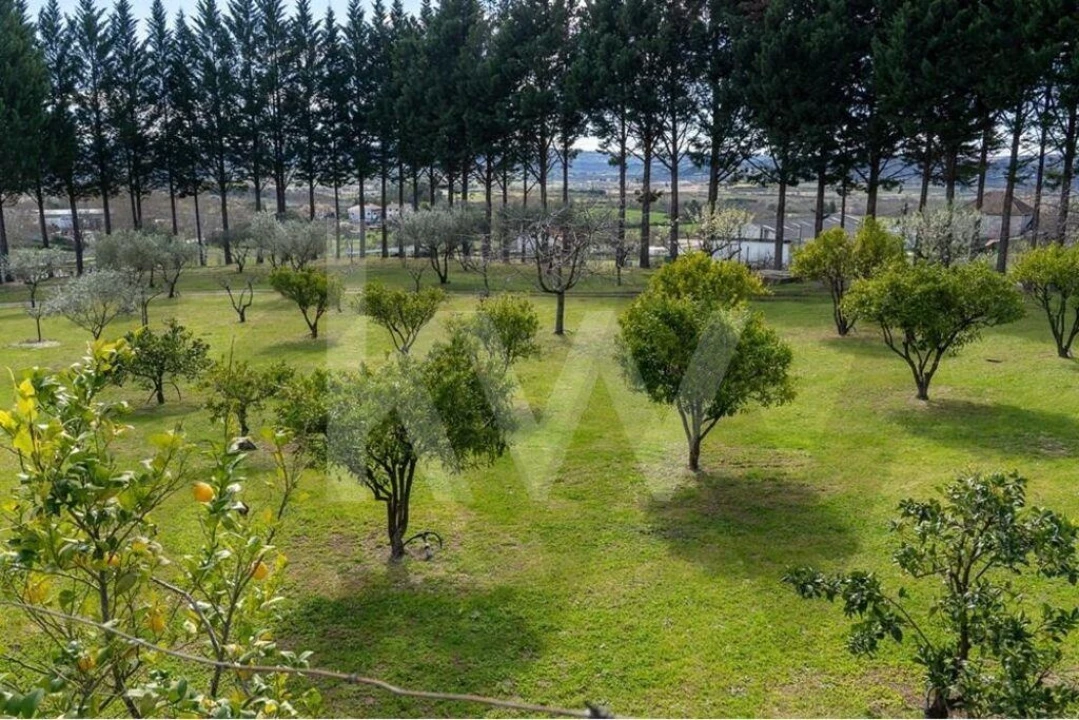Quinta T8 para Venda em Belmonte e Colmeal da Torre Foto 12