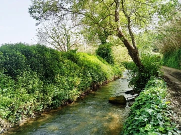 Terreno para Venda em Ericeira