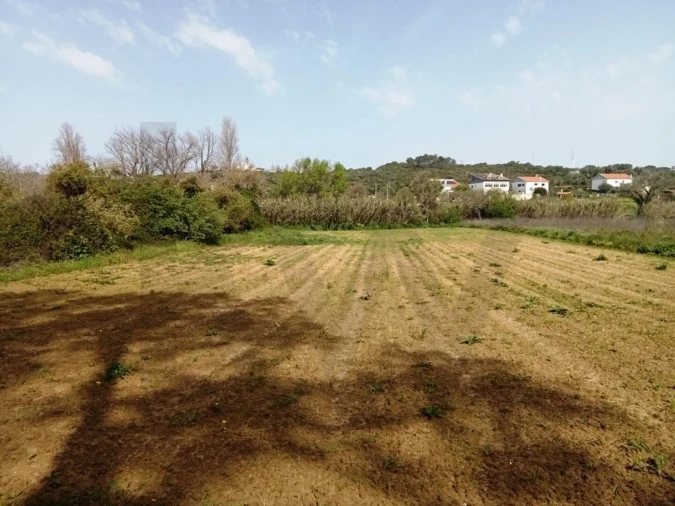 Terreno para Venda em Ericeira Foto 4