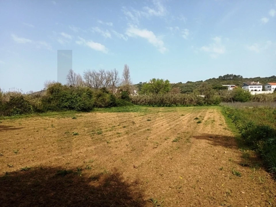 Terreno para Venda em Ericeira Foto 2