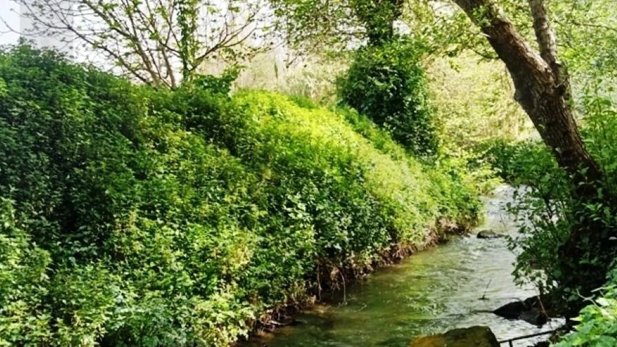 Terreno para Venda em Ericeira