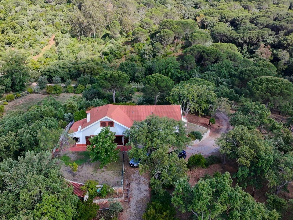 Quinta T4 para Venda em Palmela Foto 55