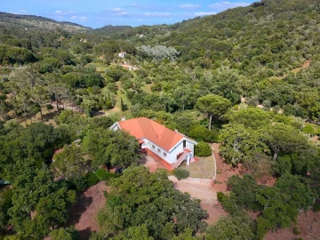 Quinta T4 para Venda em Palmela