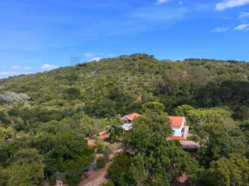 Quinta T4 para Venda em Palmela
