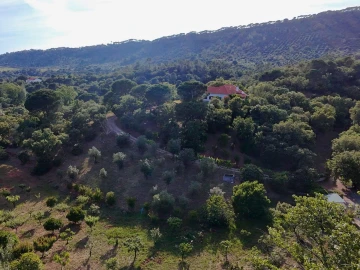 Quinta T4 para Venda em Palmela
