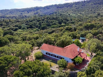 Quinta T4 para Venda em Palmela