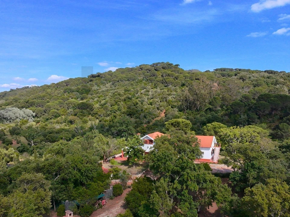 Quinta T4 para Venda em Palmela Foto 56