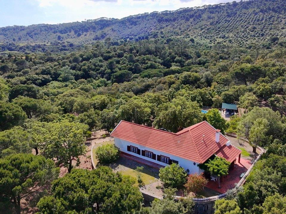 Quinta T4 para Venda em Palmela Foto 1