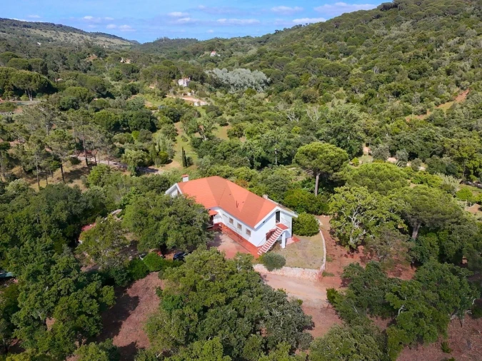 Quinta T4 para Venda em Palmela Foto 49
