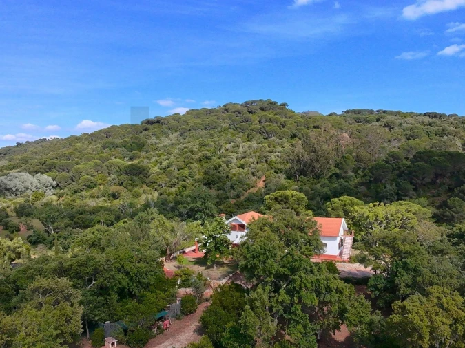 Quinta T4 para Venda em Palmela Foto 56
