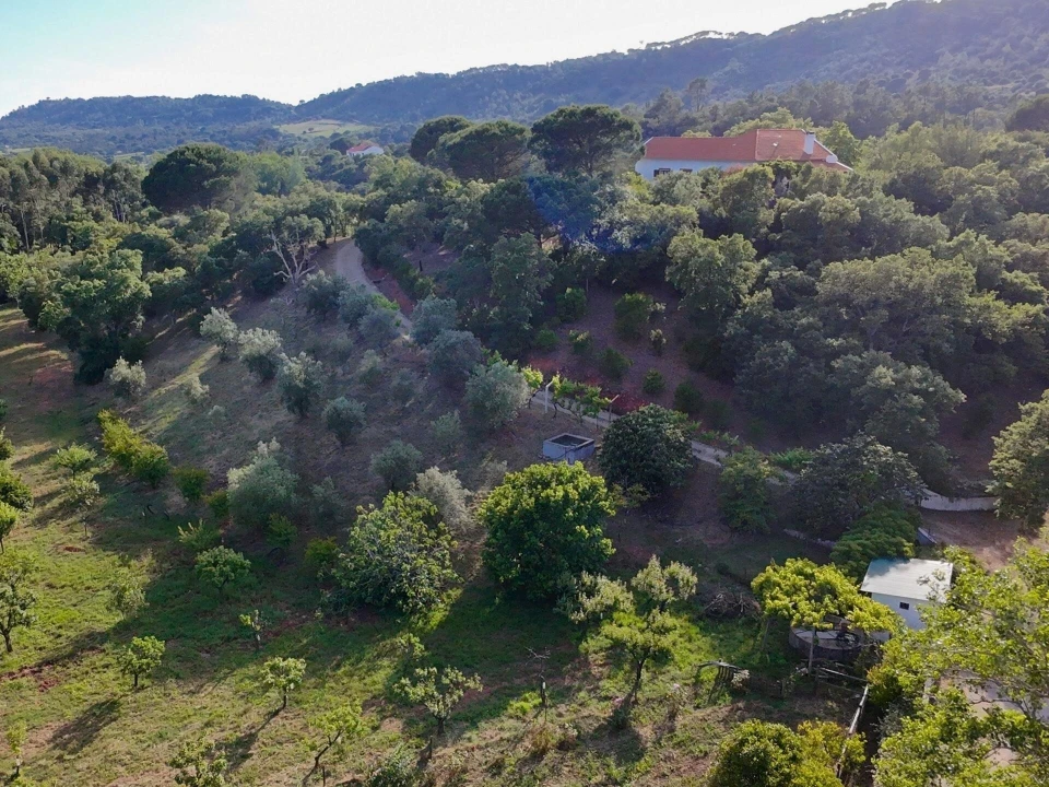 Quinta T4 para Venda em Palmela Foto 62