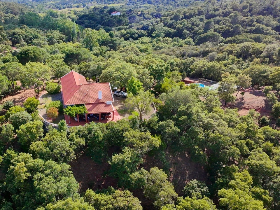 Quinta T4 para Venda em Palmela Foto 54