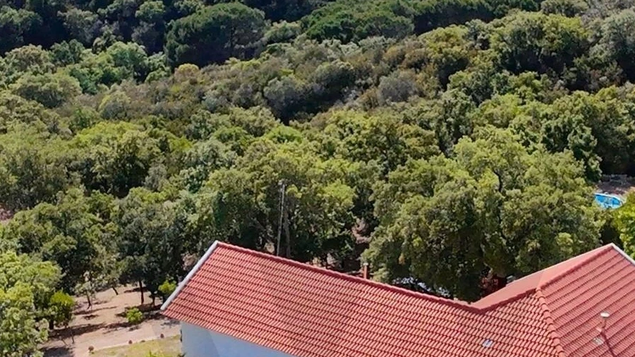 Quinta T4 para Venda em Palmela
