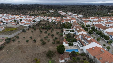Quinta T7 para Venda em Assumar
